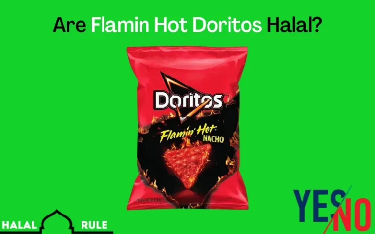 Are Flamin Hot Doritos Halal? (Yes/No)