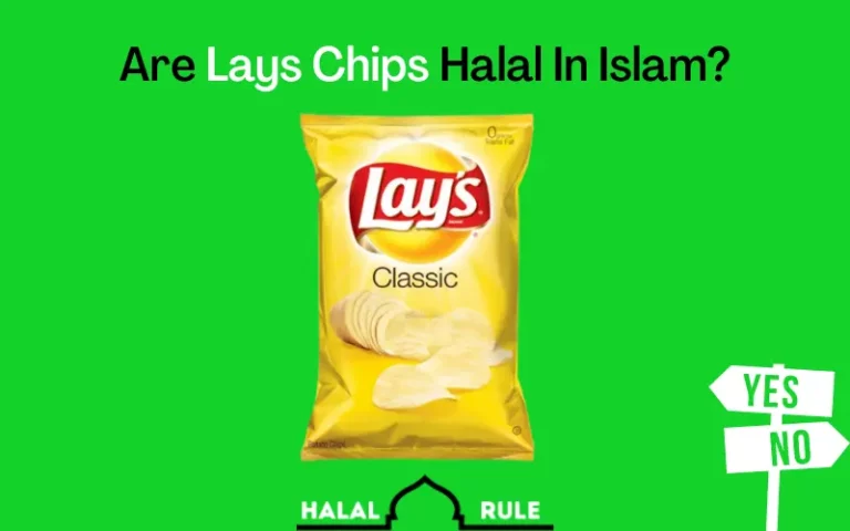 Are Lays Chips Halal In Islam? (Yes/No)