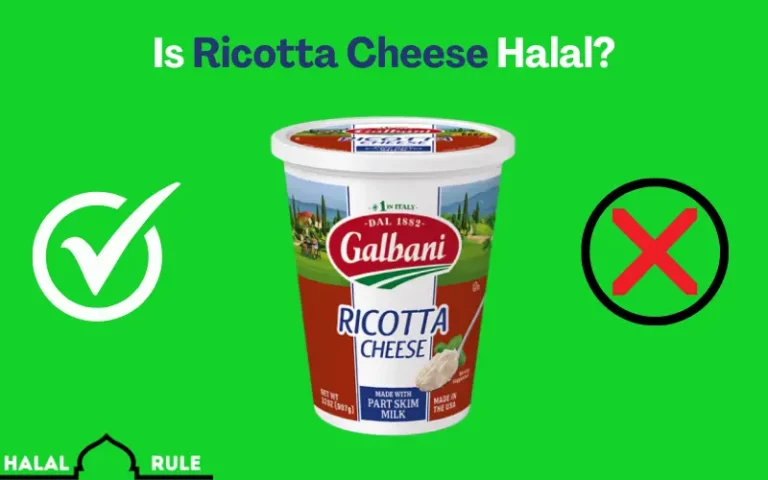 Is Ricotta Cheese Halal?