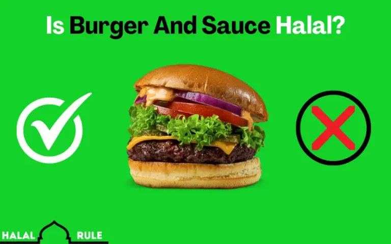 Is Burger And Sauce Halal? 2024