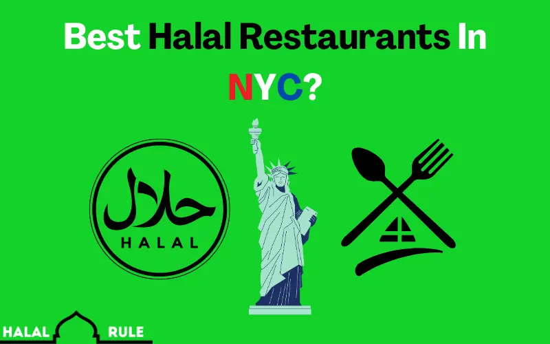 Best Halal Restaurants In NYC