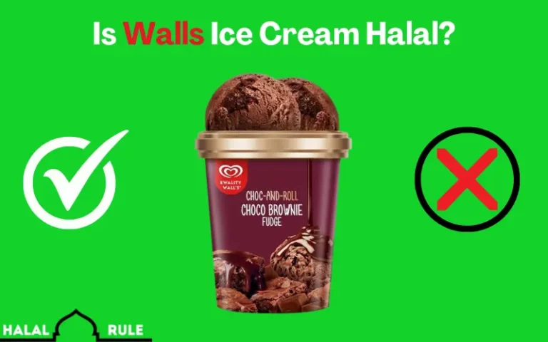 Is Walls Ice Cream Halal? 2024